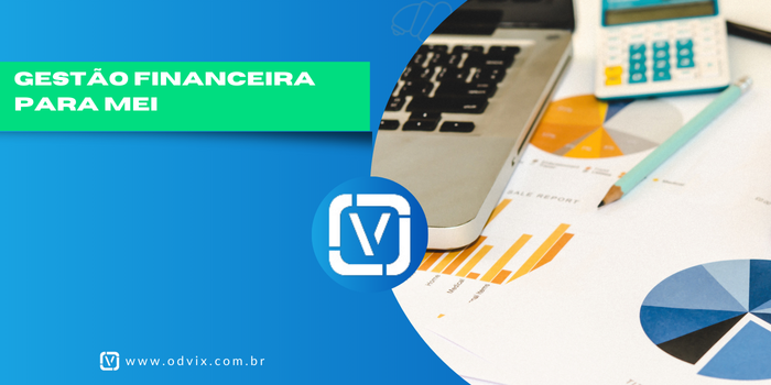 Gestão Financeira para MEI